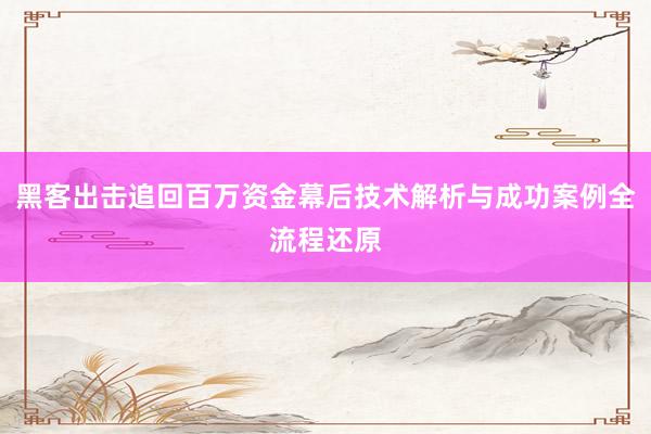 黑客出击追回百万资金幕后技术解析与成功案例全流程还原