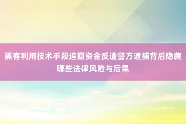 黑客利用技术手段追回资金反遭警方逮捕背后隐藏哪些法律风险与后果