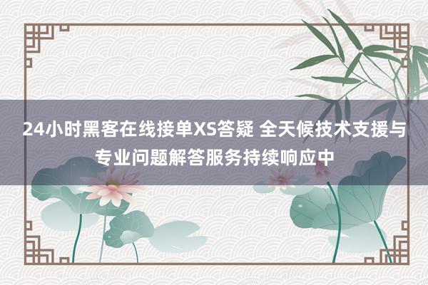 24小时黑客在线接单XS答疑 全天候技术支援与专业问题解答服务持续响应中